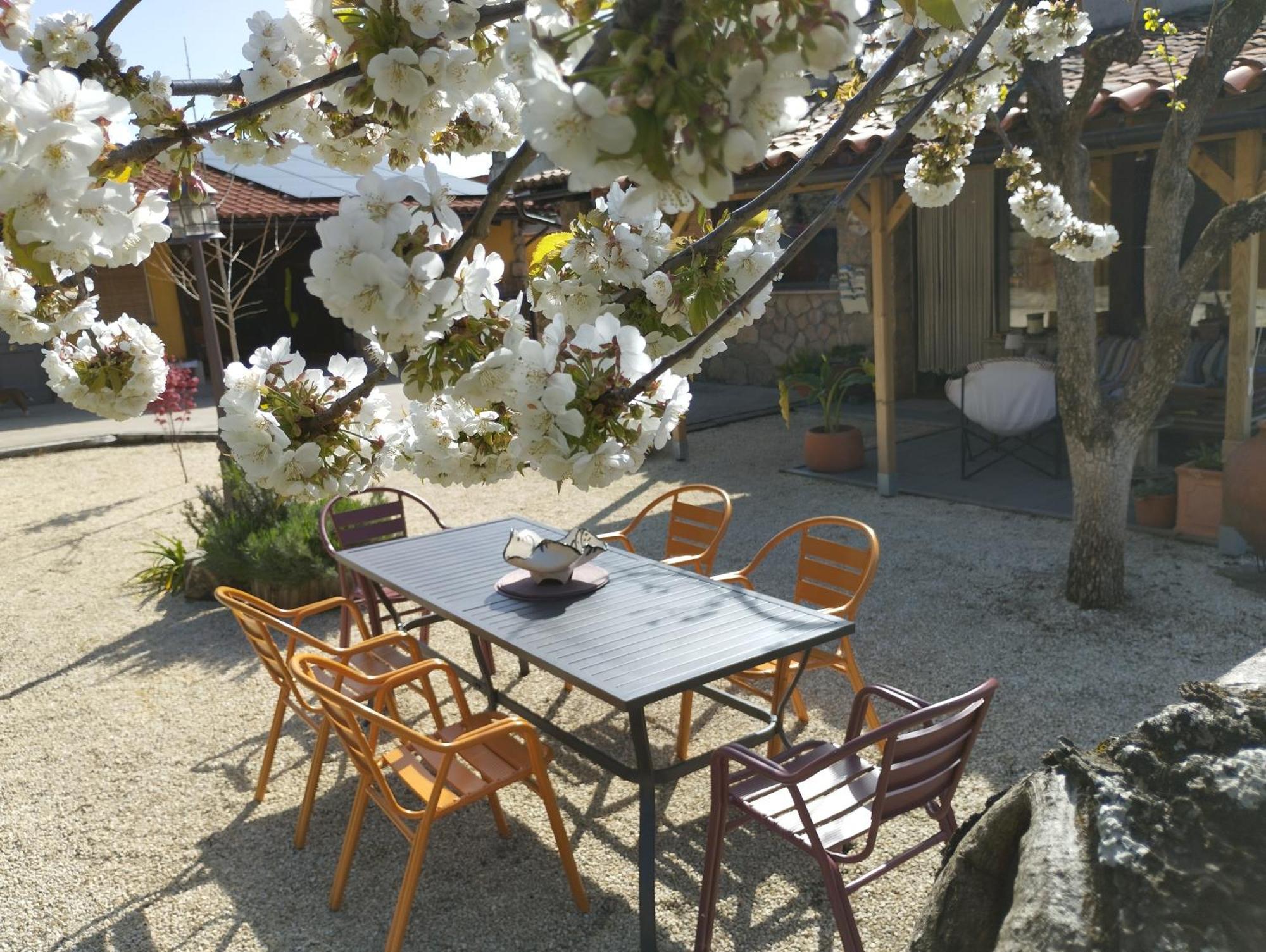 Apartamento Rural Se De Un Lugar 엘토노 외부 사진